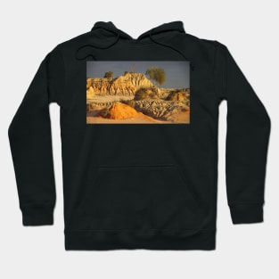 Ancient Forms at Sunset Hoodie